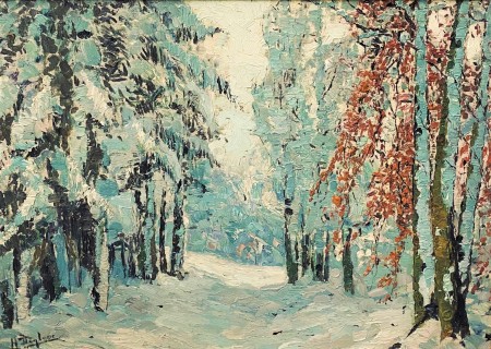 SNOW LANDSCAPE